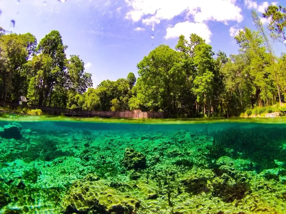 Zephyrhills