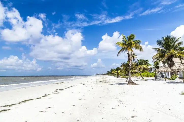 Apollo Beach