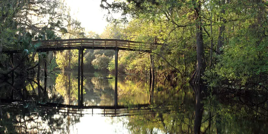 A Perfect Place to Call Home